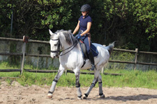 Portugal-Lisbon Area-Lusitano Riding Centre Alcainca Program A